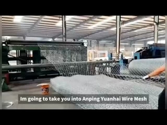 Rete Gabion in Filo di Ferro PVC / Zincato a Caldo per Protezione Pendii