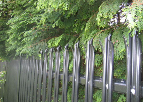 70 mm W Pale 3,0 mm Hot Dip Galvanized Steel Palisade Fencing per la sicurezza residenziale