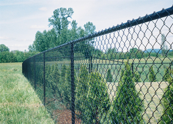 Caldo immerso ha galvanizzato il calibro temporaneo 4.0mm di Mesh Fencing 9 per l'azienda agricola