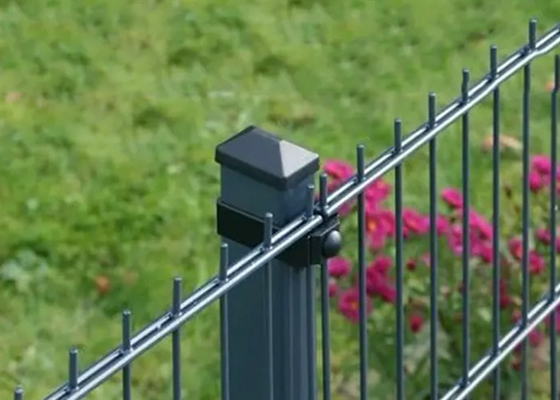 Acciai in polvere di colore verde doppio bastone Matte Recinzioni per giardino 1.8 * 3m