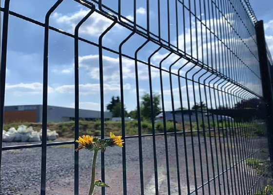 Pannello di recinzione curva 3D galvanizzato a caldo 2.0-3 m di larghezza