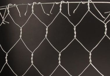 Tipo esagonale della maglia del collegamento a catena della rete metallica del pollo - calibro di cavo di 3.5mm - di 2